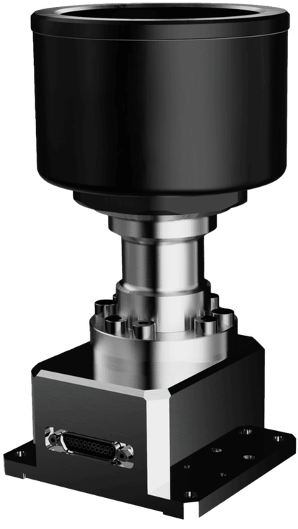 Auricam
